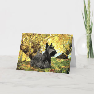 Schotse Terrier Wenskaart Kaart