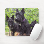 Schotse Terriers Muismat (Met muis)