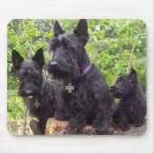 Schotse Terriers Muismat (Voorkant)