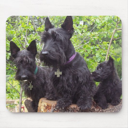 Schotse Terriers Muismat (Voorkant)