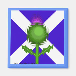 Schotse Thistle en vlag Magneet