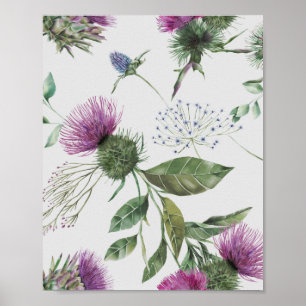 Schotse Thistle Poster