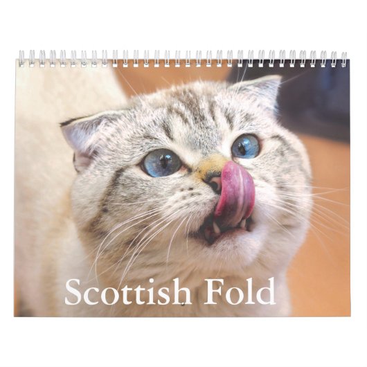 Schotse vouw kat kalender (Hoes)