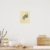 Schouder anatomische voorzijde Poster (Keuken)