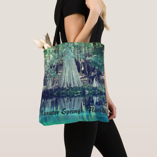 Schouder Tas Manatee Springs (Dichtbij)