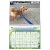 Schrabbel...2013 Kalender (Mar 2027)