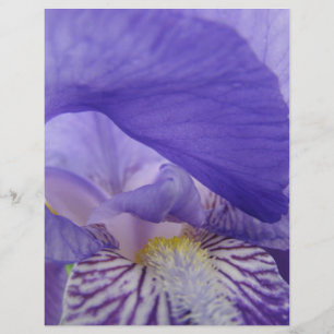 Schrapboekpapier Paarse Iris Bloemen Irissen Bloem