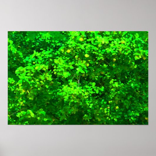 Schrappen Poster (Voorkant)