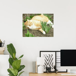 Schrapper in de tuin poster
