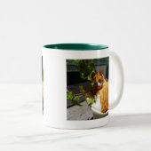 Schrapper in een pot tweekleurige koffiemok (Voorkant rechts)