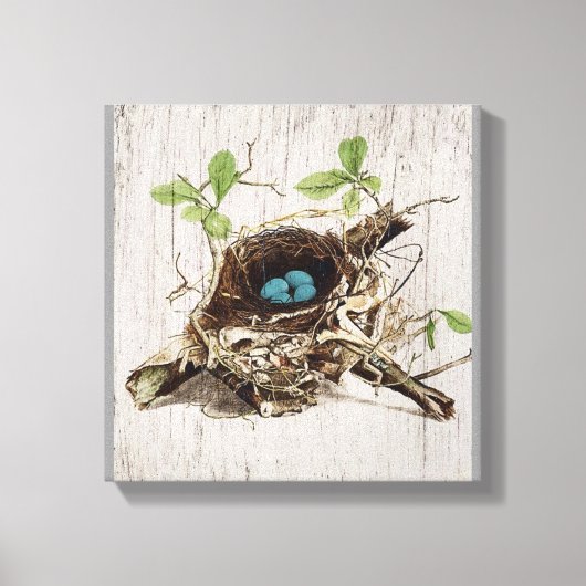 schrift ephemera vogelnest botanisch frans canvas afdruk (Voorkant)