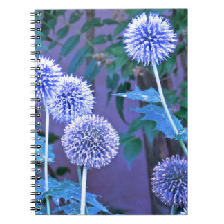 schrijfjournaal notitieboek