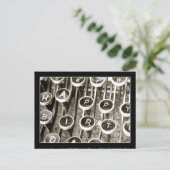 schrijfmachine Birthday Greeting Briefkaart (Staand voorkant)