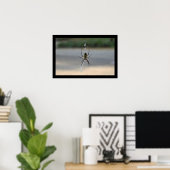 Schrijfspin (Argiope Aurantia) Poster (Thuiskantoor)