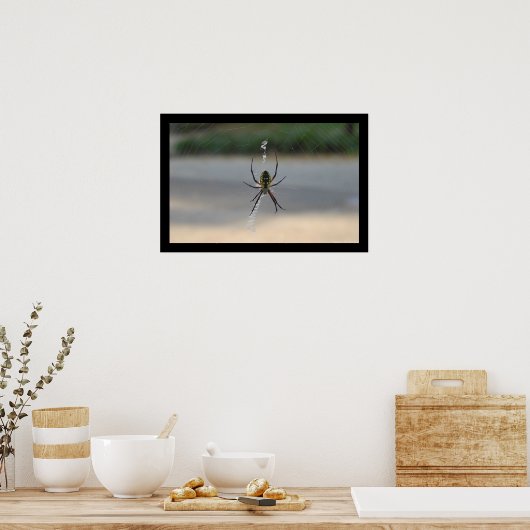 Schrijfspin (Argiope Aurantia) Poster (Keuken)