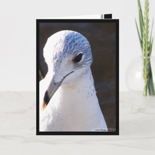 Schril contrast kaart (Voorkant)