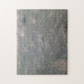 schrobwoestijn legpuzzel (Verticaal)