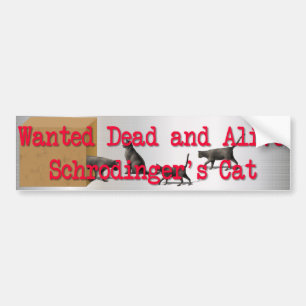 Schrodingerkat Bumpersticker