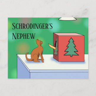 Schrodingerkat en Nephew kerstBriefkaart Briefkaart