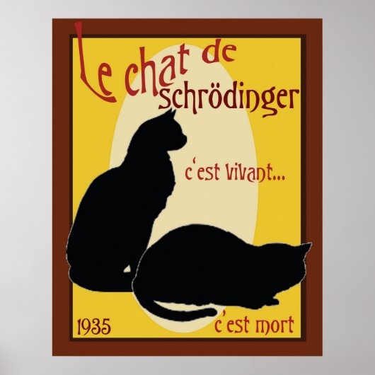 Schrodingerkat Poster (Voorkant)