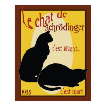 Schrodingerkat