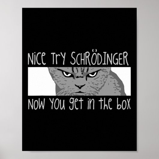 Schrodinger's Cat - Natuurkundige Poster (Voorkant)