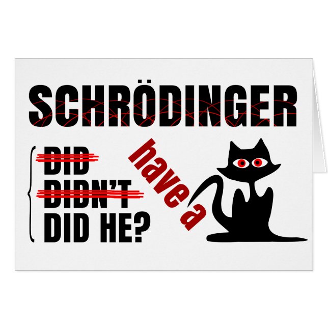 Schrodingers' Dillema (Voorkant Horizontaal)