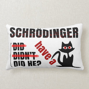 Schrodingers' Dillema Kussen