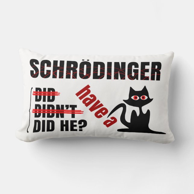 Schrodingers' Dillema Kussen (Voorkant)
