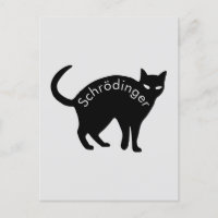 Schrödinger's kat