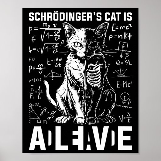 Schrödingers kat dood en levend poster (Voorkant)
