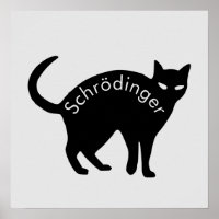 Schrödinger's kat