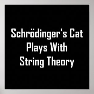 Schrodinger's kat speelt met tekenreektheorie poster