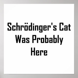 Schrodingers kat was waarschijnlijk hier poster