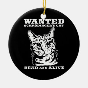 Schrodingers kat wilde dood of levend keramisch ornament