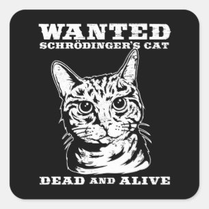 Schrodingers kat wilde dood of levend vierkante sticker