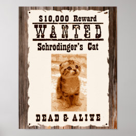 Schrodingers kat wilde poster