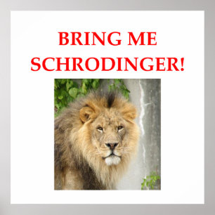 schrodingerskat poster
