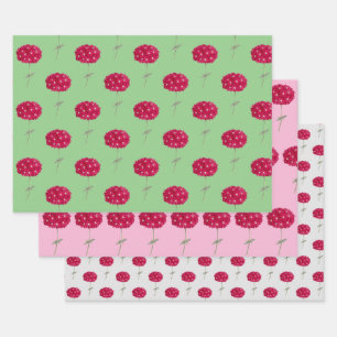 schroefmagenta Hydrangea Wrap Inpakpapier Vel