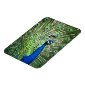 Schroefpauw Magneet (Linkerzijde)