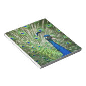 Schroefpauw Notitieblok (Schuin)