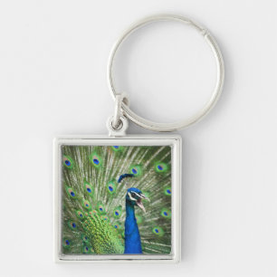 Schroefpauw Sleutelhanger