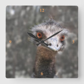 Schroffy Ole Bird, Emu. Vierkante Klok (Voorkant)