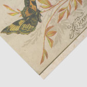 Schroot Ephemera Design Series #30 Tissuepapier (Detail)