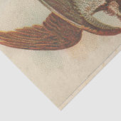 Schroot Ephemera Design Series #3 Tissuepapier (Detail)