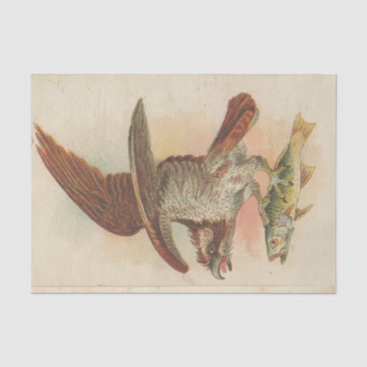 Schroot Ephemera Design Series #3 Tissuepapier (Voorkant)