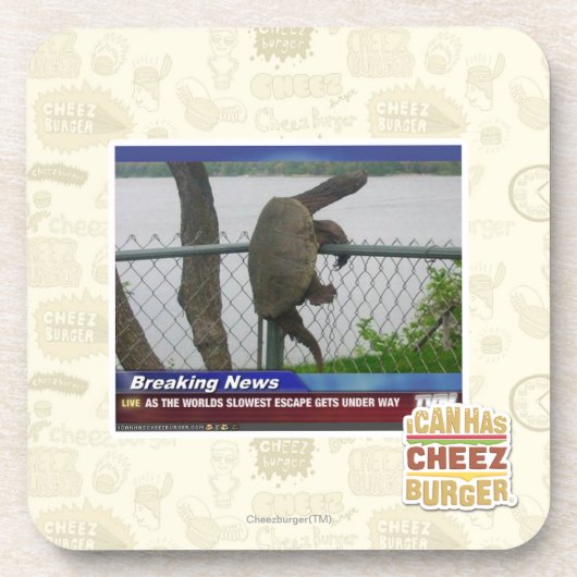 Schrootschildpad Drankjes Onderzetter (Voorkant)