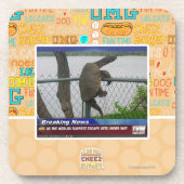 Schrootschildpad Drankjes Onderzetter (Voorkant)