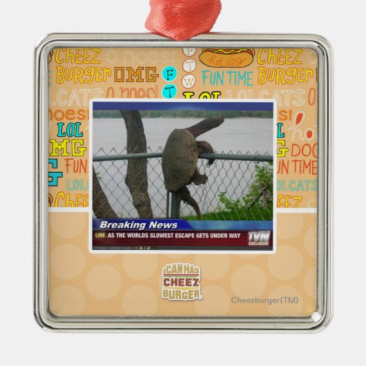 Schrootschildpad Metalen Ornament (Voorkant)