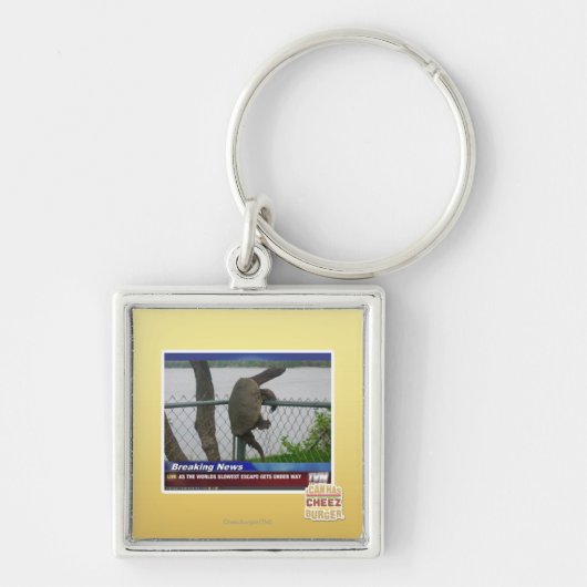 Schrootschildpad Sleutelhanger (Voorkant)